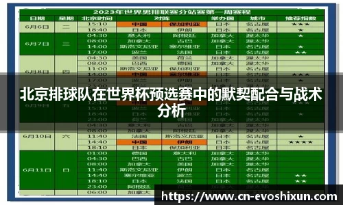 北京排球队在世界杯预选赛中的默契配合与战术分析